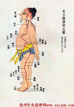 奥德煜广告采集到穴位