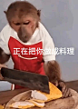表情包（正在把你做成料理）