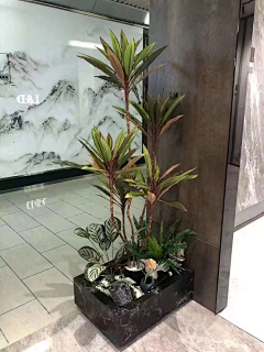 一个平平无奇干饭天才采集到B2