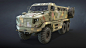 Kraz Shrek / Feona
