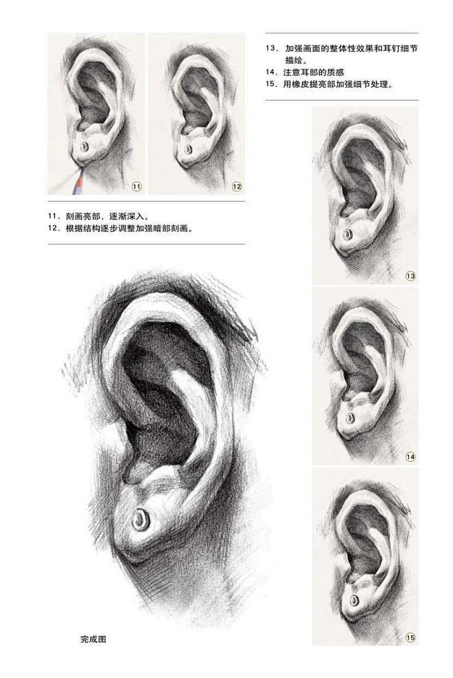 素描耳朵 (16)