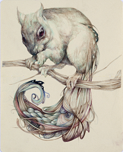 TRACY199331采集到Marco Mazzoni