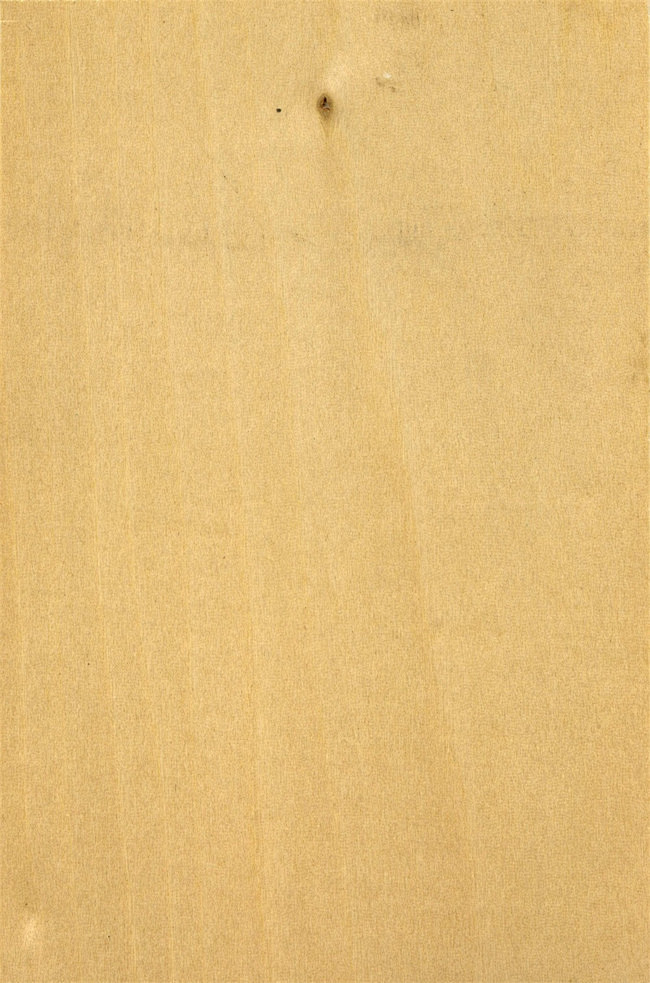 简约现代金丝楠木纹贴图
