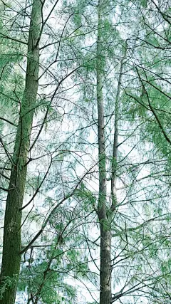 【高清手机壁纸。风景美图。城市风光摄影。设计灵感。桌面锁屏。日系韩系欧美。小清新。】❤️