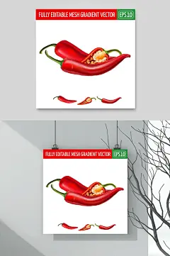 辣椒高端创意水果蔬菜手绘矢量素材