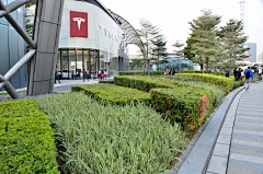 绿蔷美荷采集到展示区quanzhou
