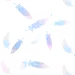彩色羽毛