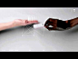 Troublemakers.tv - SNCF Elixir (Director's Cut 视频 创意 动画 animation 广告