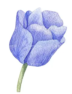 手绘花卉  - 源文件下载【酷图网】花卉花语,清新植物,清新花卉,森系小清新,水彩花边,花朵花语,水彩花卉,手绘花卉,森系花纹,淡彩花枝,树枝,花卉花草,浪漫温馨,婚礼手绘,婚宴花卉,清新简约,花艺插花,鲜花,婚礼花卉,结婚花卉,园艺,园林艺术,结婚请帖,婚礼邀请函,温馨幸福,浪漫唯美,婚宴请柬,文艺风,设计,