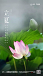 地产海报 | 节气立夏海报版式设计【排版】