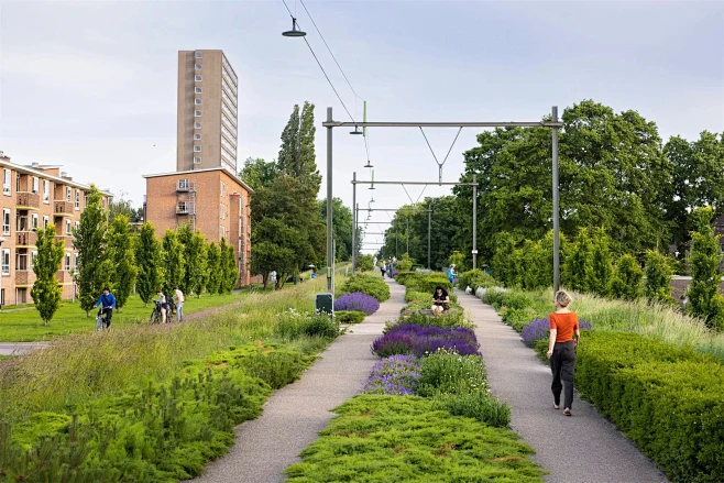 城市线性公园 | 拒绝拼凑式设计，以景观...