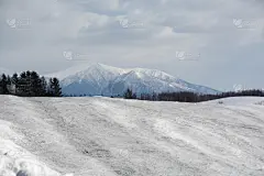 田地,春天,等,天空,贺卡,留白,水平画幅,云,山,雪