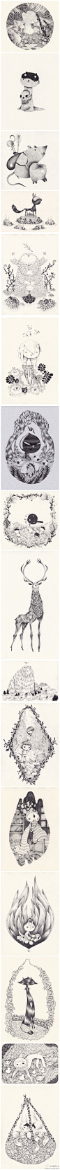 #求是爱插画#Yohan Sacré的动物铅笔插画