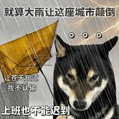 近期下雨天使用频率很高的表情包 - 小红书