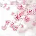 Jacky Parker在 500px 上的照片Soft on spring