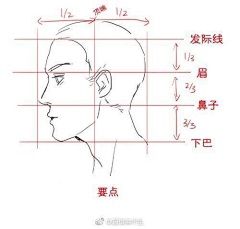 Lily名字十七画采集到结构比例