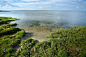 夏天的风景从丹麦海岸在djursland