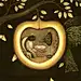 Fendouyishengyishi