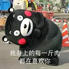 我身上的每一斤肉都在喜欢你

#表情包无水印# #熊本熊表情包# ​​​​