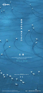 白露节气海报-源文件