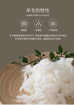 anoushka采集到床垫