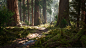 UE4 Redwood Forest V2 Update, Willi Hammes : Latest updated version of the procedural giant sequoia forest in Unreal Engine 4. Tones of new assets and massive tweaks to all textures and materials. The updated pack is now available via cgtrader: https://ww