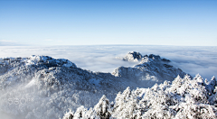 洋气°采集到雪地