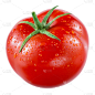 背景分离,西红柿,白色,分离着色,湿,剪贴路径,蔬菜,红色,白色背景,清新