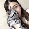 雾灵雾灵、