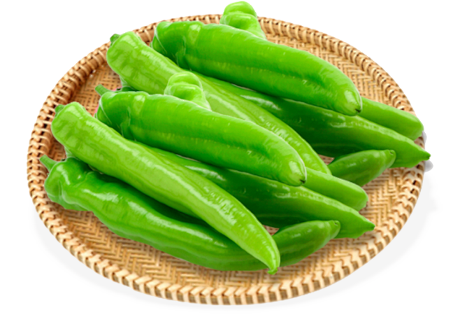 青椒 辣椒 大青椒png