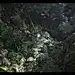 {游戏系列}   黑神话：悟空（场景，角色，UI）