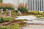 Magneten Sensory Garden by MASU Planning « Landscape Architecture Platform | Landezine