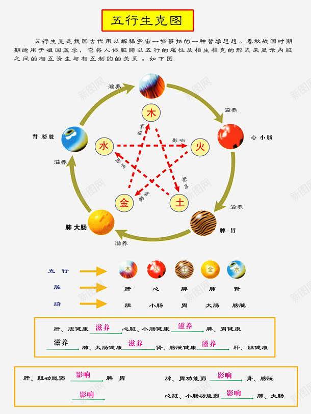 五行生克图 页面网页 平面电商 创意素材