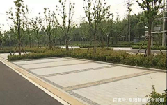心有艳阳采集到景观专项--停车场