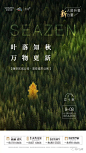 【斗稿】2019立秋创意海报盘点 : 后台回复相应关键词，自动获取节日节气海报