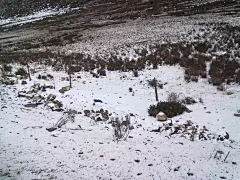 草原上的雪山风光