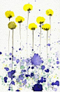 blue & yellow and a little messy - the watercolor look is so beautiful