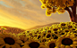 General 2560x1600 artwork digital art nature flowers trees sunflowers
