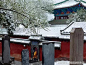 雪中的禅宗祖庭少林寺,别有一番风味。洁白的雪花轻舞飞扬,少林寺山门更显庄严肃穆。