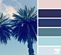 palm hues