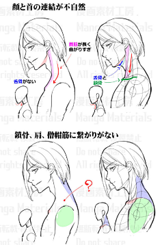 站定楼窗望月影采集到教程