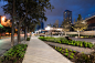 Grain Collective的DVC Streetscape«景观建筑平台| Landezine