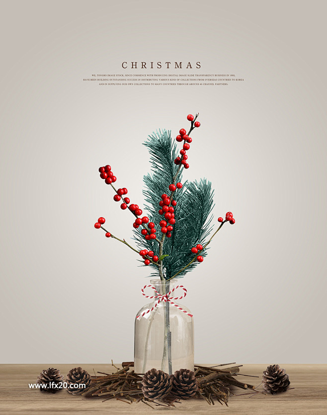 圣诞节礼物摆放植物挂坠家居圣诞手套海报