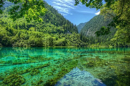 国外优秀摄影师镜头下的中国风景