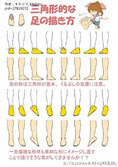 腿部脚部画法 侵删致歉 | 半次元-二次元爱好者社区