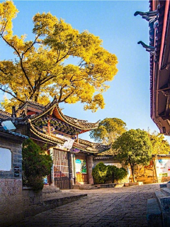 璃依紫の采集到家居