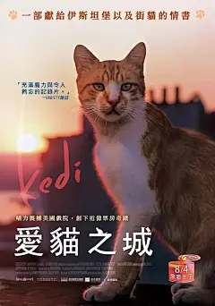 爱猫之城 Kedi 海报