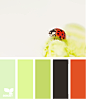 ladybug hues