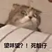 采集图片