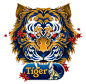 (6) Pinterest